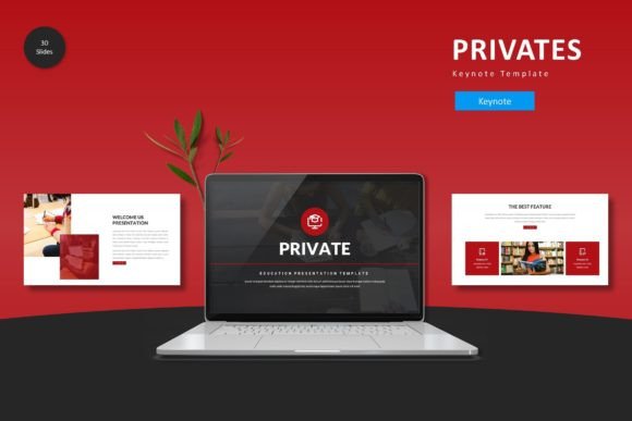 Elevate Your Presentations with a Cohesive Template
